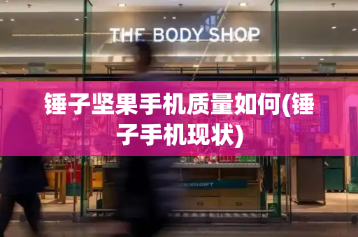 锤子坚果手机质量如何(锤子手机现状)