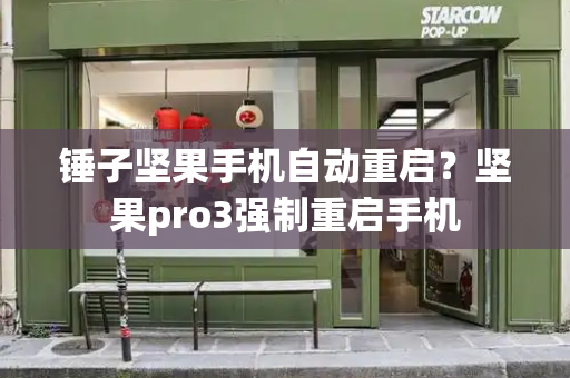 锤子坚果手机自动重启？坚果pro3强制重启手机