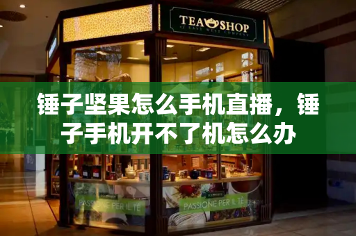 锤子坚果怎么手机直播，锤子手机开不了机怎么办-第1张图片-星选测评