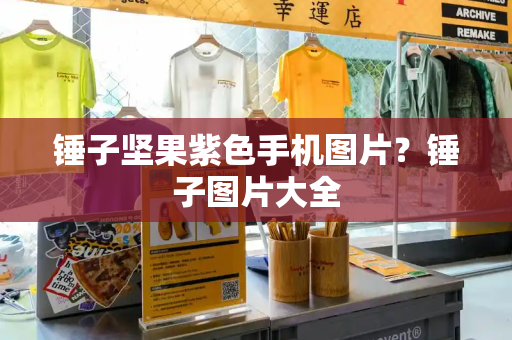 锤子坚果紫色手机图片？锤子图片大全