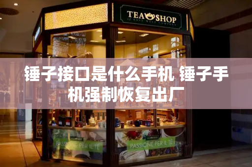 锤子接口是什么手机 锤子手机强制恢复出厂-第1张图片-星选测评