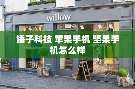 锤子科技 苹果手机 坚果手机怎么样