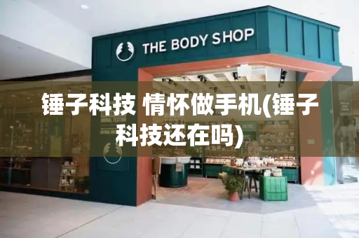 锤子科技 情怀做手机(锤子科技还在吗)-第1张图片-星选测评