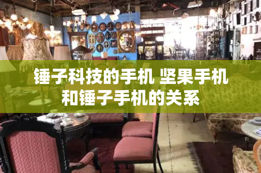 锤子科技的手机 坚果手机和锤子手机的关系
