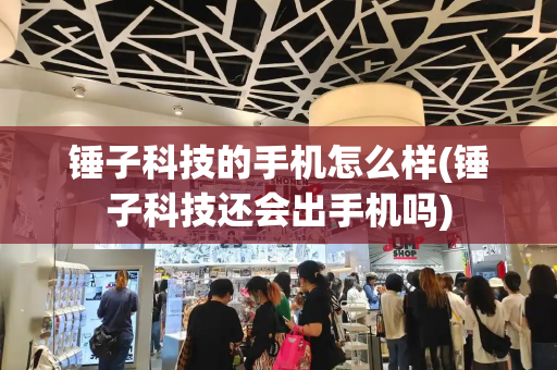 锤子科技的手机怎么样(锤子科技还会出手机吗)
