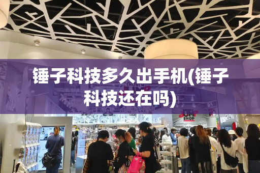 锤子科技多久出手机(锤子科技还在吗)