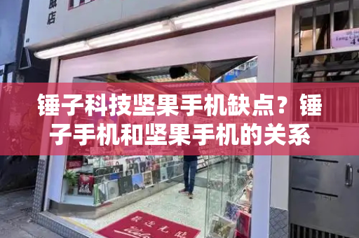 锤子科技坚果手机缺点？锤子手机和坚果手机的关系
