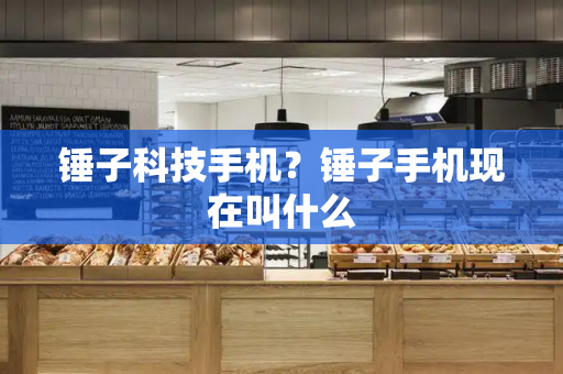 锤子科技手机？锤子手机现在叫什么-第1张图片-星选测评