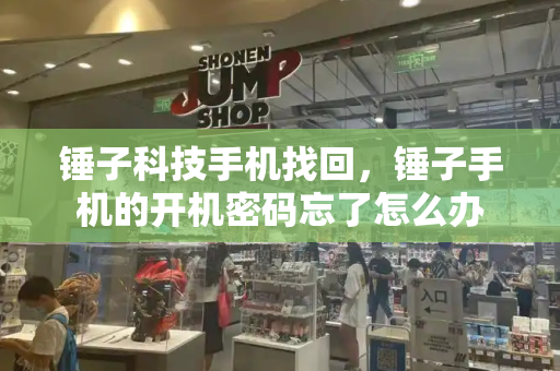 锤子科技手机找回，锤子手机的开机密码忘了怎么办-第1张图片-星选测评