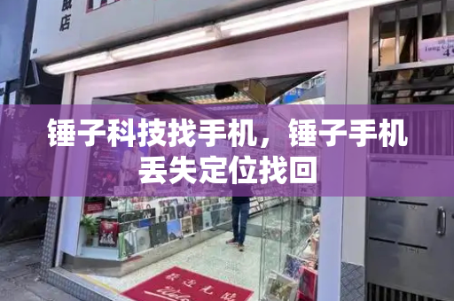 锤子科技找手机，锤子手机丢失定位找回-第1张图片-星选测评