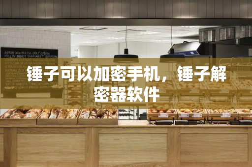 锤子可以加密手机，锤子解密器软件-第1张图片-星选测评