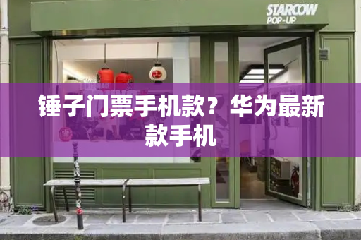 锤子门票手机款？华为最新款手机-第1张图片-星选测评