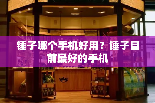 锤子哪个手机好用？锤子目前最好的手机-第1张图片-星选测评