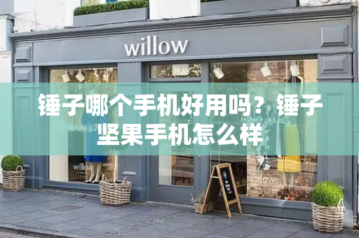 锤子哪个手机好用吗？锤子坚果手机怎么样-第1张图片-星选测评