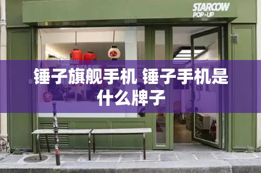 锤子旗舰手机 锤子手机是什么牌子-第1张图片-星选测评