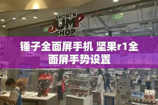 锤子全面屏手机 坚果r1全面屏手势设置