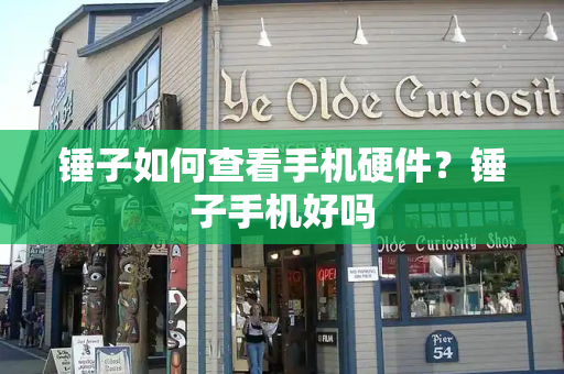 锤子如何查看手机硬件？锤子手机好吗-第1张图片-星选测评