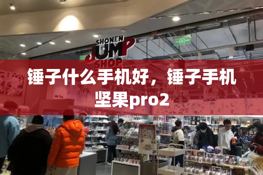 锤子什么手机好，锤子手机坚果pro2