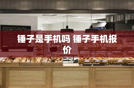 锤子是手机吗 锤子手机报价-第1张图片-星选测评