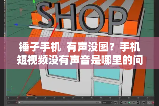 锤子手机  有声没图？手机短视频没有声音是哪里的问题-第1张图片-星选测评