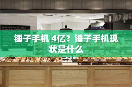 锤子手机 4亿？锤子手机现状是什么-第1张图片-星选测评