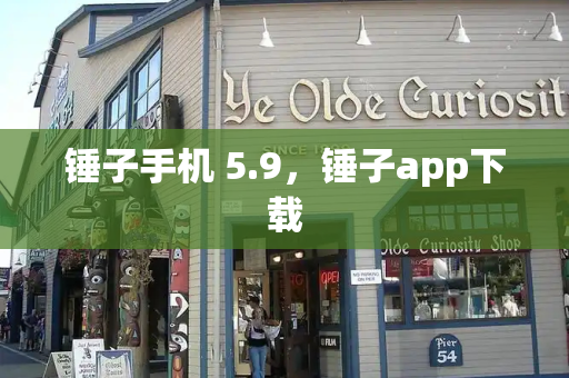 锤子手机 5.9，锤子app下载-第1张图片-星选测评