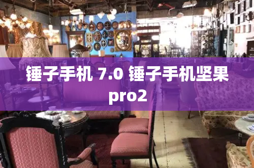锤子手机 7.0 锤子手机坚果pro2