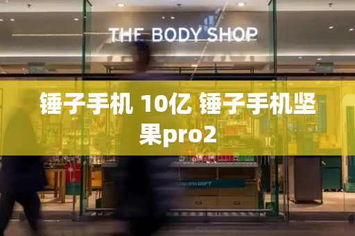 锤子手机 10亿 锤子手机坚果pro2