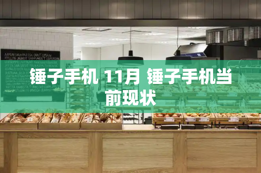 锤子手机 11月 锤子手机当前现状
