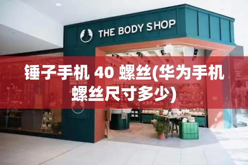 锤子手机 40 螺丝(华为手机螺丝尺寸多少)-第1张图片-星选测评
