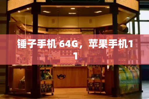 锤子手机 64G，苹果手机11-第1张图片-星选测评