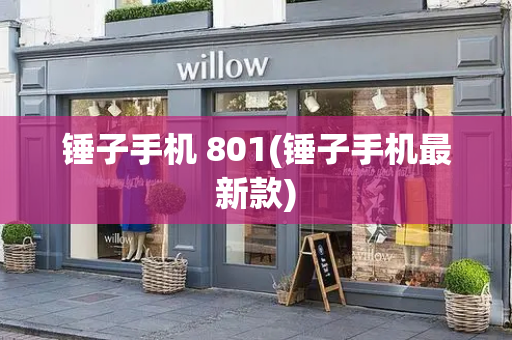 锤子手机 801(锤子手机最新款)