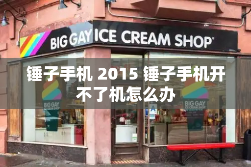 锤子手机 2015 锤子手机开不了机怎么办-第1张图片-星选测评