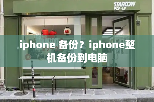 iphone 备份？iphone整机备份到电脑-第1张图片-星选测评