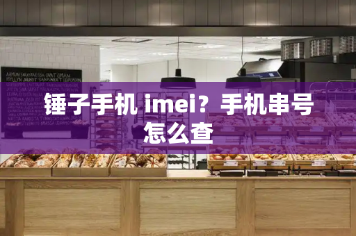 锤子手机 imei？手机串号怎么查-第1张图片-星选测评