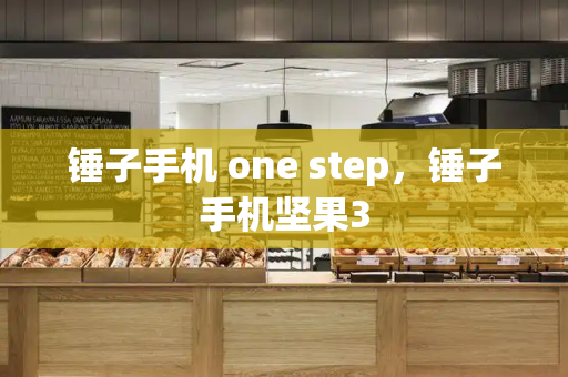 锤子手机 one step，锤子手机坚果3