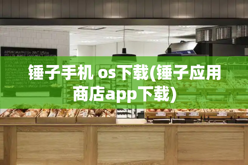 锤子手机 os下载(锤子应用商店app下载)-第1张图片-星选测评