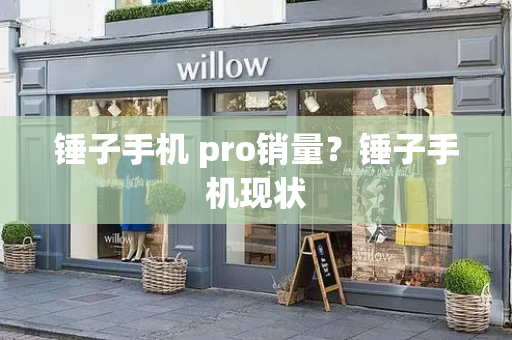 锤子手机 pro销量？锤子手机现状-第1张图片-星选测评