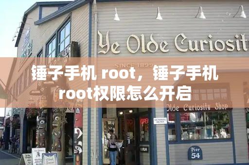 锤子手机 root，锤子手机root权限怎么开启-第1张图片-星选测评