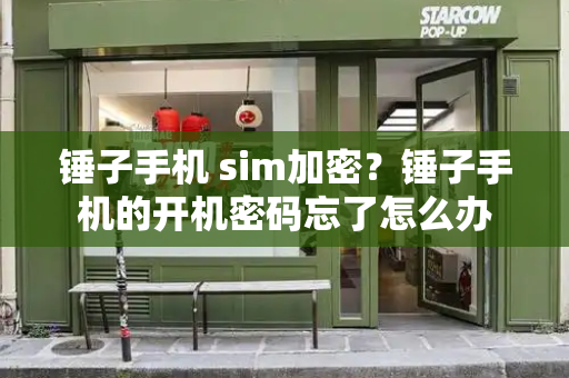 锤子手机 sim加密？锤子手机的开机密码忘了怎么办-第1张图片-星选测评