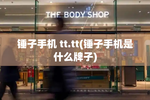 锤子手机 tt.tt(锤子手机是什么牌子)-第1张图片-星选测评