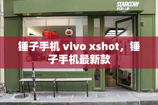 锤子手机 vivo xshot，锤子手机最新款-第1张图片-星选测评