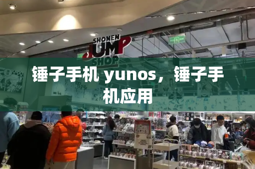 锤子手机 yunos，锤子手机应用-第1张图片-星选测评