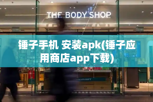 锤子手机 安装apk(锤子应用商店app下载)