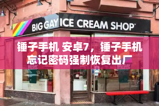 锤子手机 安卓7，锤子手机忘记密码强制恢复出厂-第1张图片-星选测评