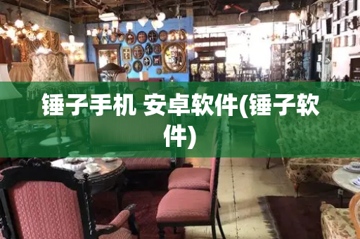 锤子手机 安卓软件(锤子软件)-第1张图片-星选测评