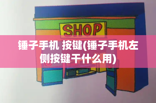 锤子手机 按键(锤子手机左侧按键干什么用)-第1张图片-星选测评