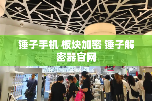 锤子手机 板块加密 锤子解密器官网-第1张图片-星选测评