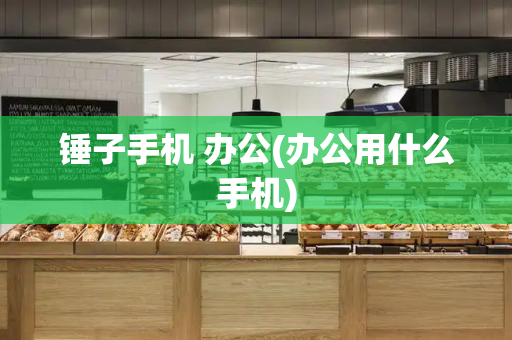 锤子手机 办公(办公用什么手机)-第1张图片-星选测评