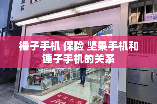 锤子手机 保险 坚果手机和锤子手机的关系